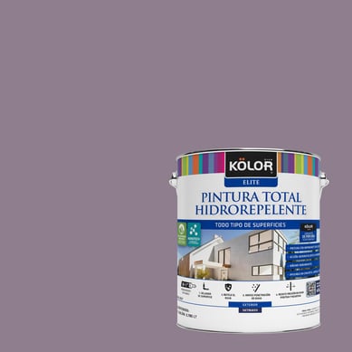Pintura Hidrorepelente Satinado 1 galn(es) Prpura Bihor 