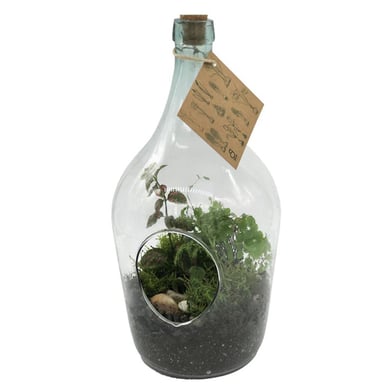 Terrario Botella S 20 cm Natural CT30