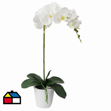 Orquidea Blanca En Macetero 63 cm