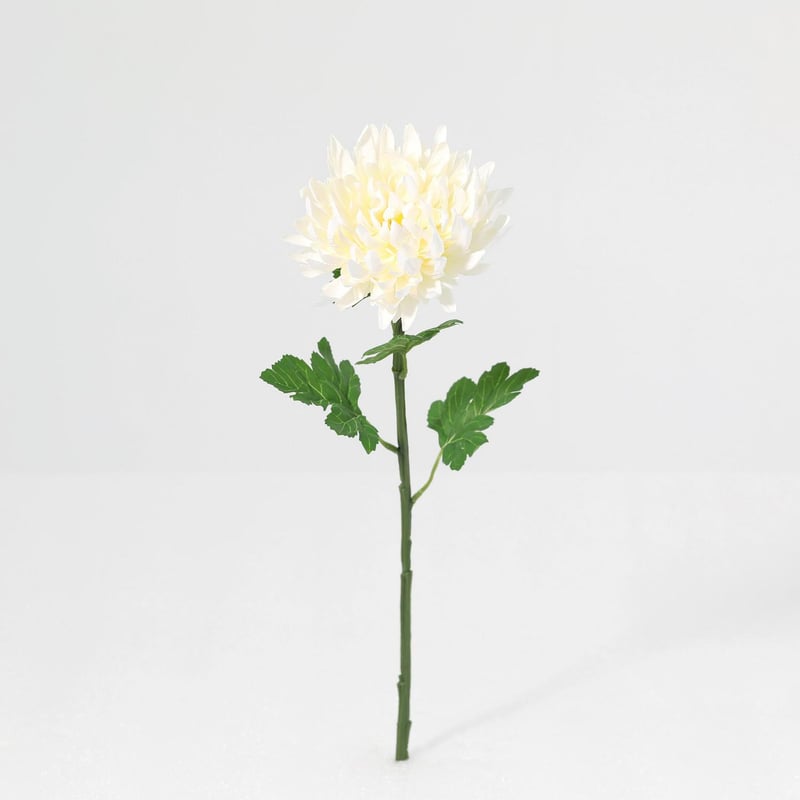 JUST HOME COLLECTION - Vara flor artificial crisantemos crema 55 cm