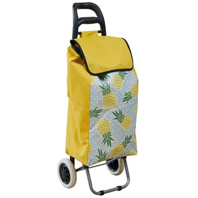 Carro de compras diseo pia