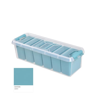 Caja multiuso 6 divisiones