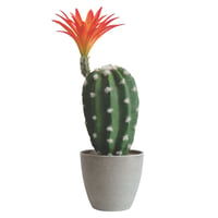 Cactus Artificial Multicolor de 29cm
