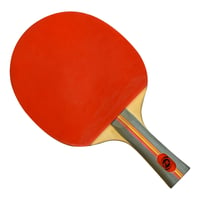 Raqueta de Tenis de Mesa Ping Pong 73111