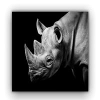 Cuadro Cara Rinoceronte 180X120