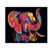 Cuadro Elefante Life Colors 70X50