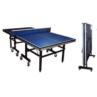 Mesa De Ping Pong 18Mm Plegable