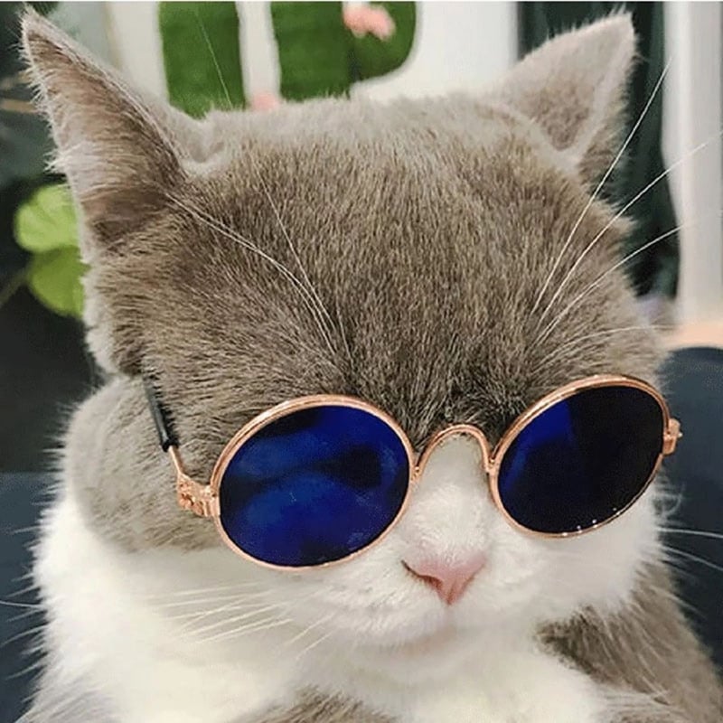 Gafas de Sol para Gatos y Perros Pequenos Fashion Disfraz GENERICO falabella