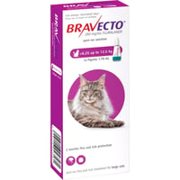 Bravecto Spot On Gatos 500 Mg (6.25 - 12.5 Kg)