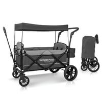 Coche Plegable X2 Push & Pull de 2 Plazas Color Gris Marca Wonderfold