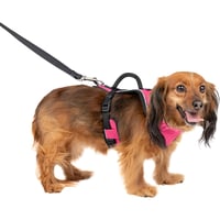 Arnés para Perro Acolchonado Ajustable Talla XS Color Rosado