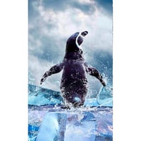 Fotomural Pinguino 150x250 Cm
