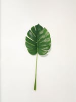 Vara Artificial Hoja Monstera 67cm