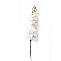 Orquídea  natural touch crema