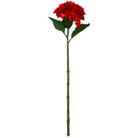 Vara de hortensia rojo