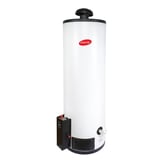 Calentador de Depósito Enerhit Gas LP 80 Litros