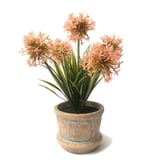 Planta decorativa arreglo floral c/macet