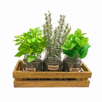 Caja de madera con frascos set/3 plantas