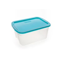 Caja organizadora 55 litros