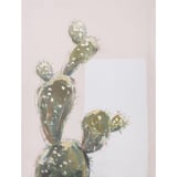 Cuadro Canvas Cactus 2 30 x 40 cm