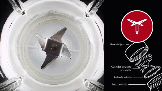 Cuchillas de acero inoxidable licuadora