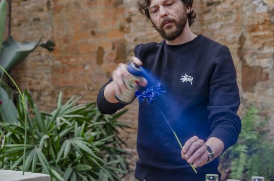 How to Montana Colors