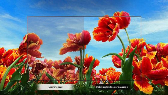 Optimizador de color dinámico