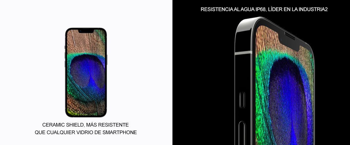 iPhone 13 Pro 6,1