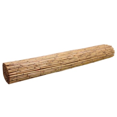 Estera de junco caizo 150 cm x 5 m