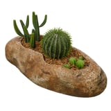 Cactus en piedra diseño D