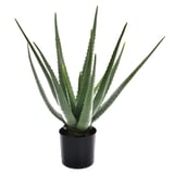 Planta artificial Aloe Vera 50 cm