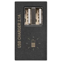 Módulo 2 cargadores USB 2.1 grafito