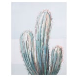 Canvas cactus 3 30 x 40 cm