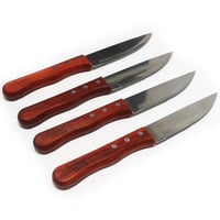 Set de 4 cuchillos parrilleros