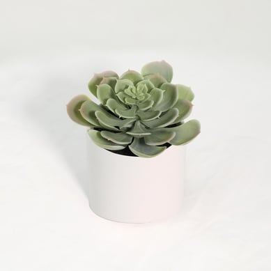 Planta artificial suculenta 18 cm