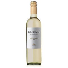 NIETO SENETINER - Vino Nieto Senetiner Benjamin Chardonnay 750 mL