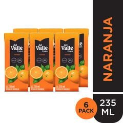 FRUGOS DEL VALLE - Sixpack Bebida Frugos Frugos Del Valle Naranja 235 Ml Caja