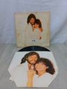 Vinilo Colección Beegees Streisand (Se desconoce su funcionamiento)