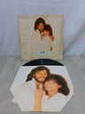 Vinilo Colección Beegees Streisand (Se desconoce su funcionamiento)