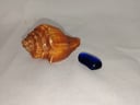 Caracol de caparazón prehistórico en forma de espiral + diamante azul pequeño
