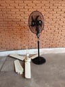 Ventilador de pata TOKYO (Funciona) + Ventilador de techo (A REPARAR) + 5 Aletas de ventilador