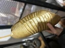 Adorno de Caparazon de Armadillo