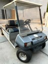 Carrito de golf eléctrico Carryall 6 48Volts