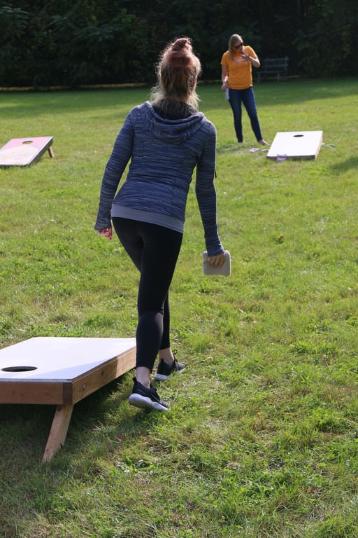 Wedding bags (corn hole)