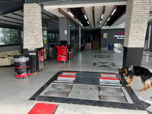 PİLOT GARAGE SAMSUN ATAKUM MİMARSİNAN OTO EKSPERTİZ