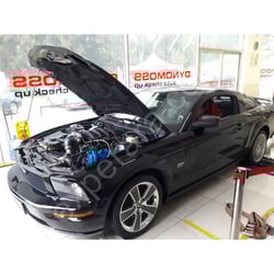 DYNOMOSS BURSA OSMANGAZİ FATİH OTO EKSPERTİZ