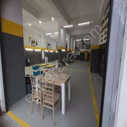 EXPERİX ORDU ALTINORDU ŞAHİNCİLİ OTO EKSPERTİZ 