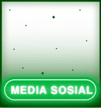MEDIA SOSIAL