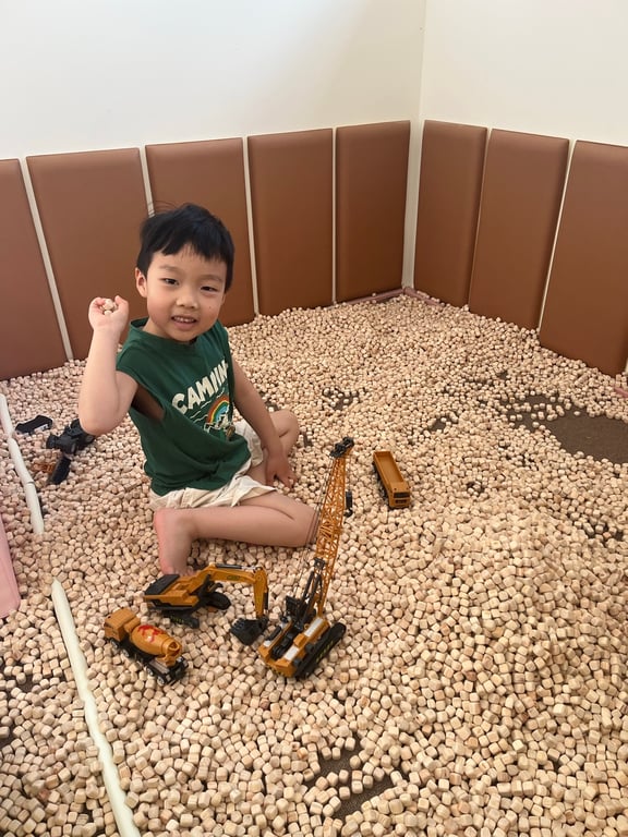 글램탐다오 편백나무 볼풀방에서 굴착기 장난감으로 노는 아들