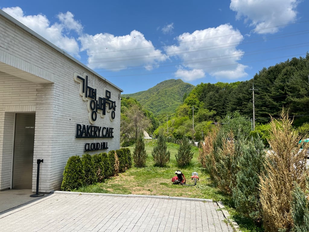 가평여행 2탄 | 가평 양떼목장(Cloud Hill) — 동물 먹이 체험부터 산 위 카페까지